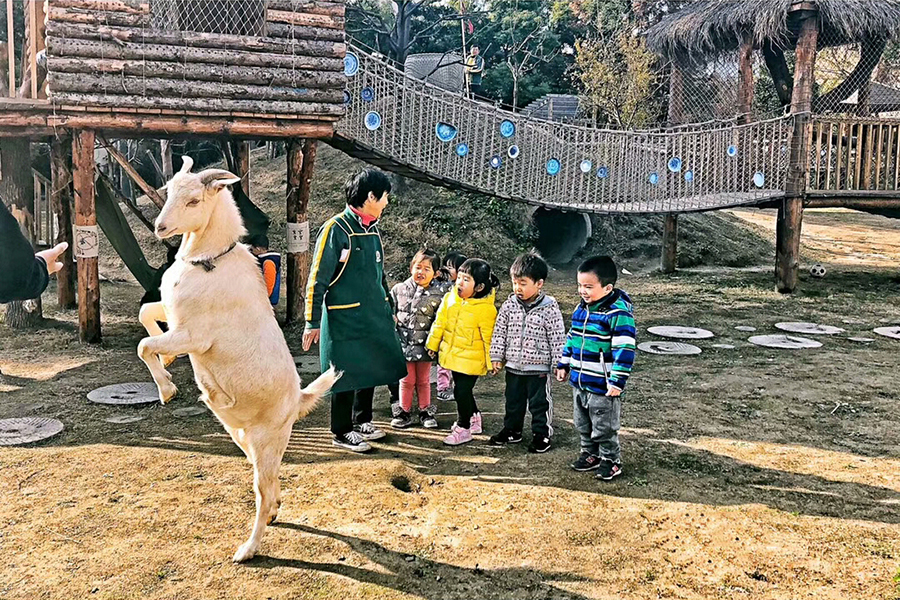 羊1.jpg