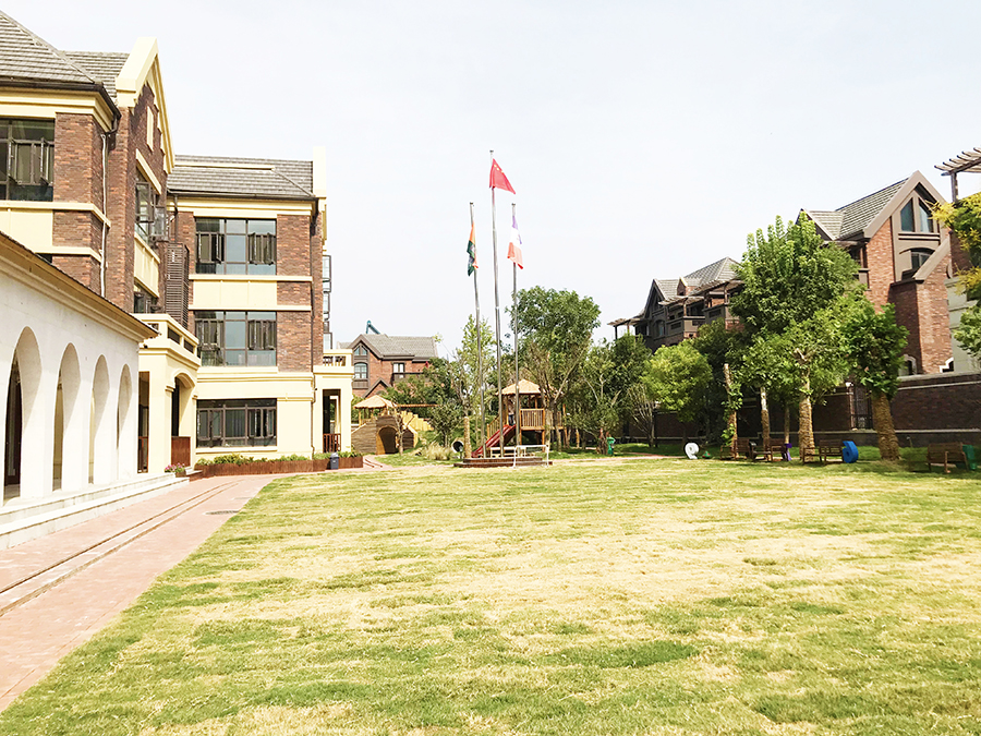 04.jpg